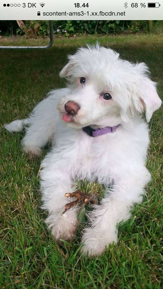 Hottie Tots C'est La Vie