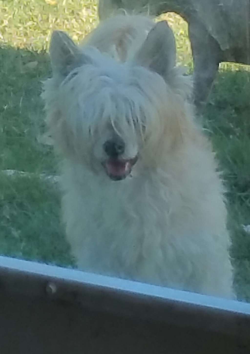 Houdinis Whiskey River