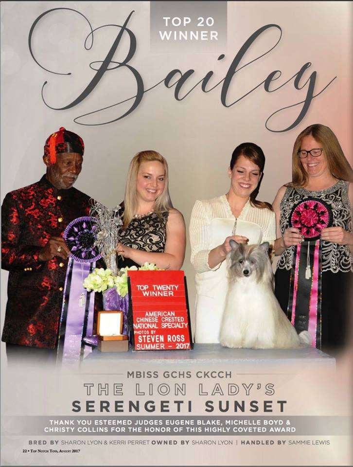 The Lion Lady's Serengeti Sunset