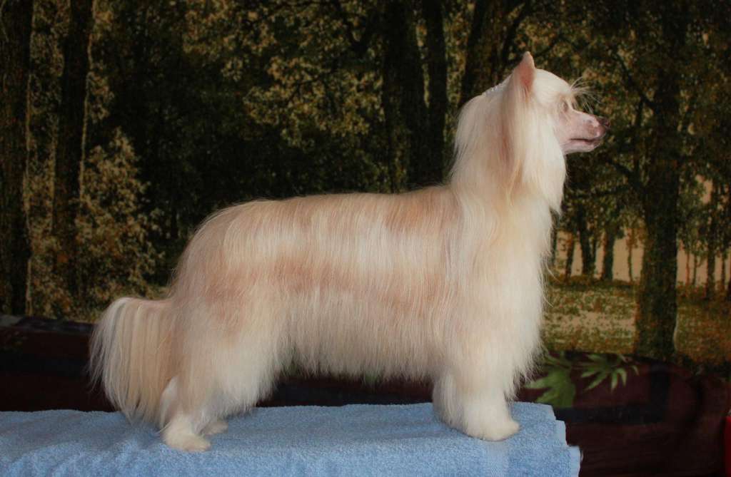 Touch Beauty Make up high style