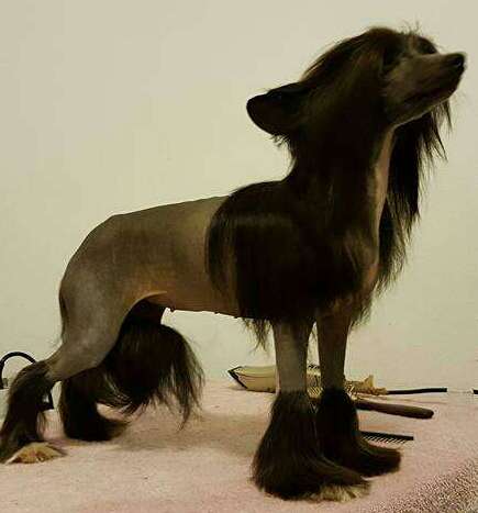 Ulibka  Marta dlya  Liris