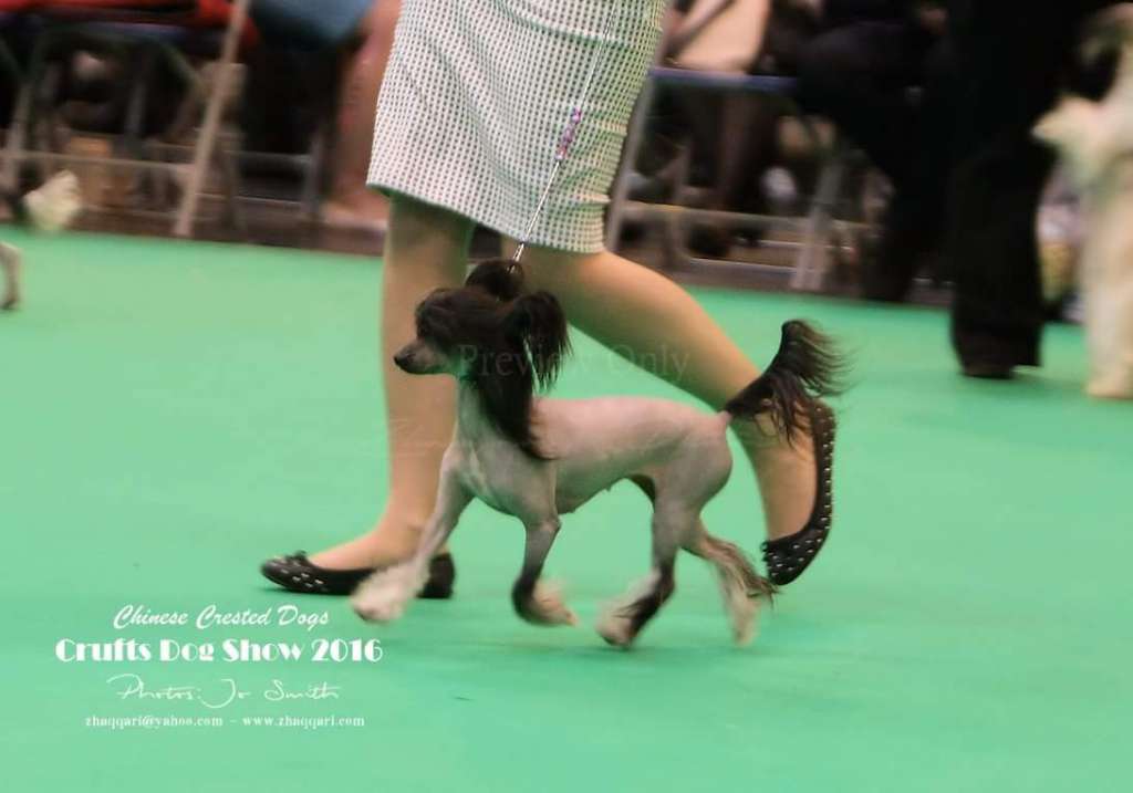 Michadaine Material Girl