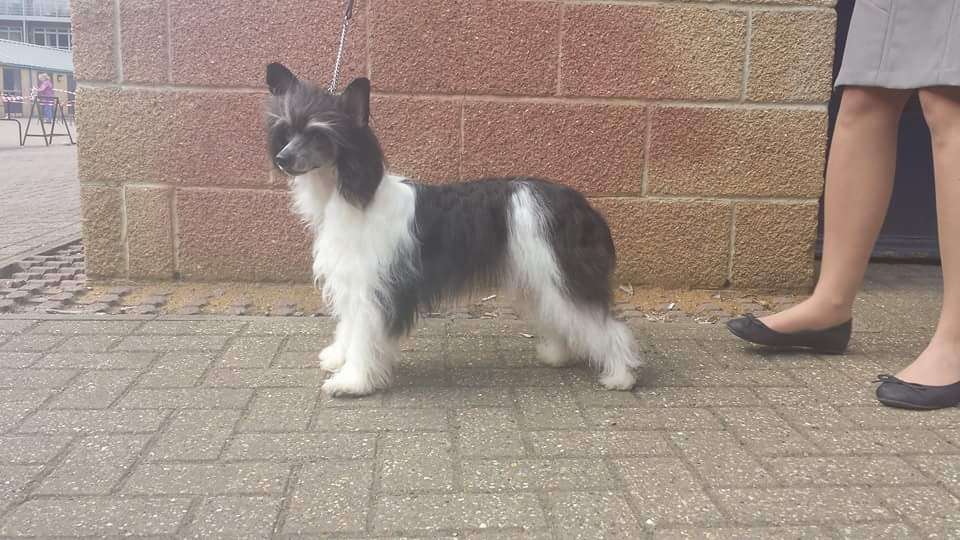 Michadaine Like A Prayer