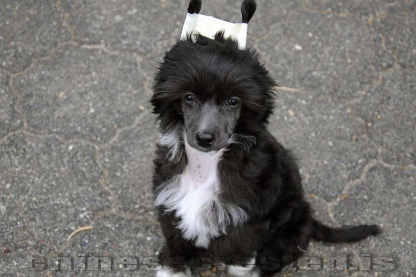 Practical Hero Truly Madly Deeply