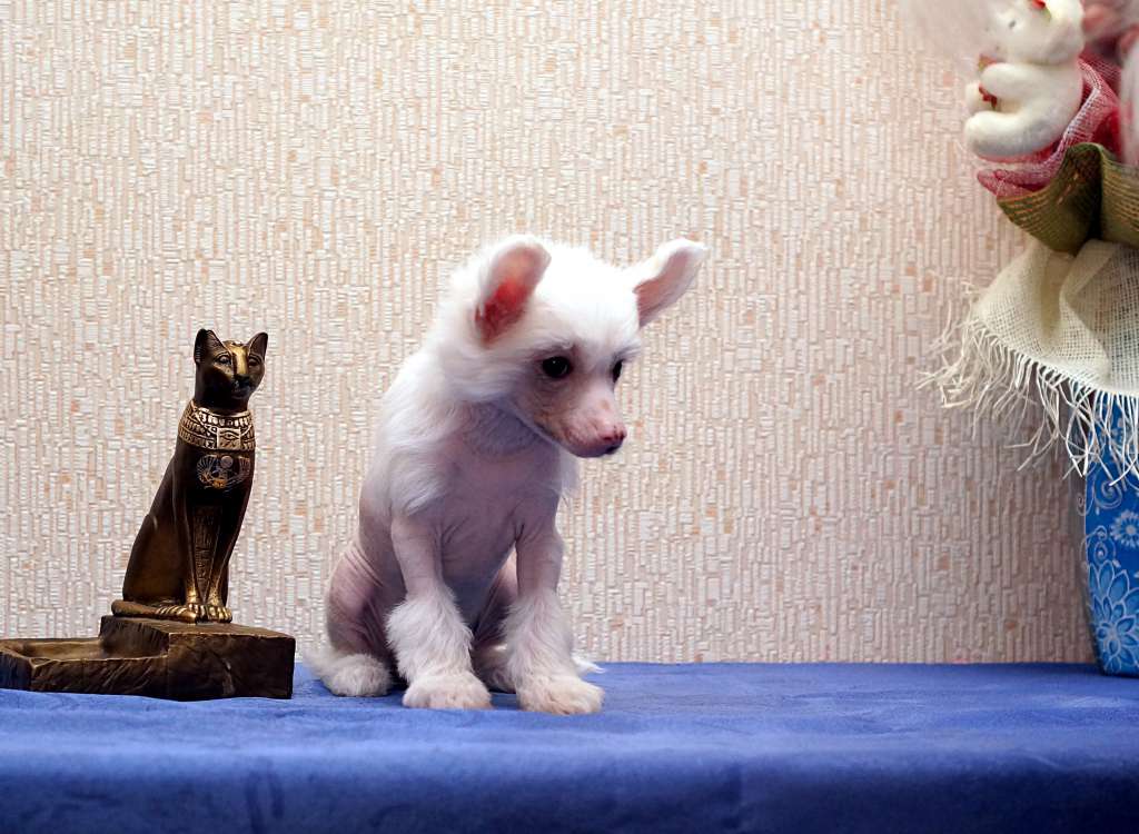 Sky Miracle Tender Heart Killer