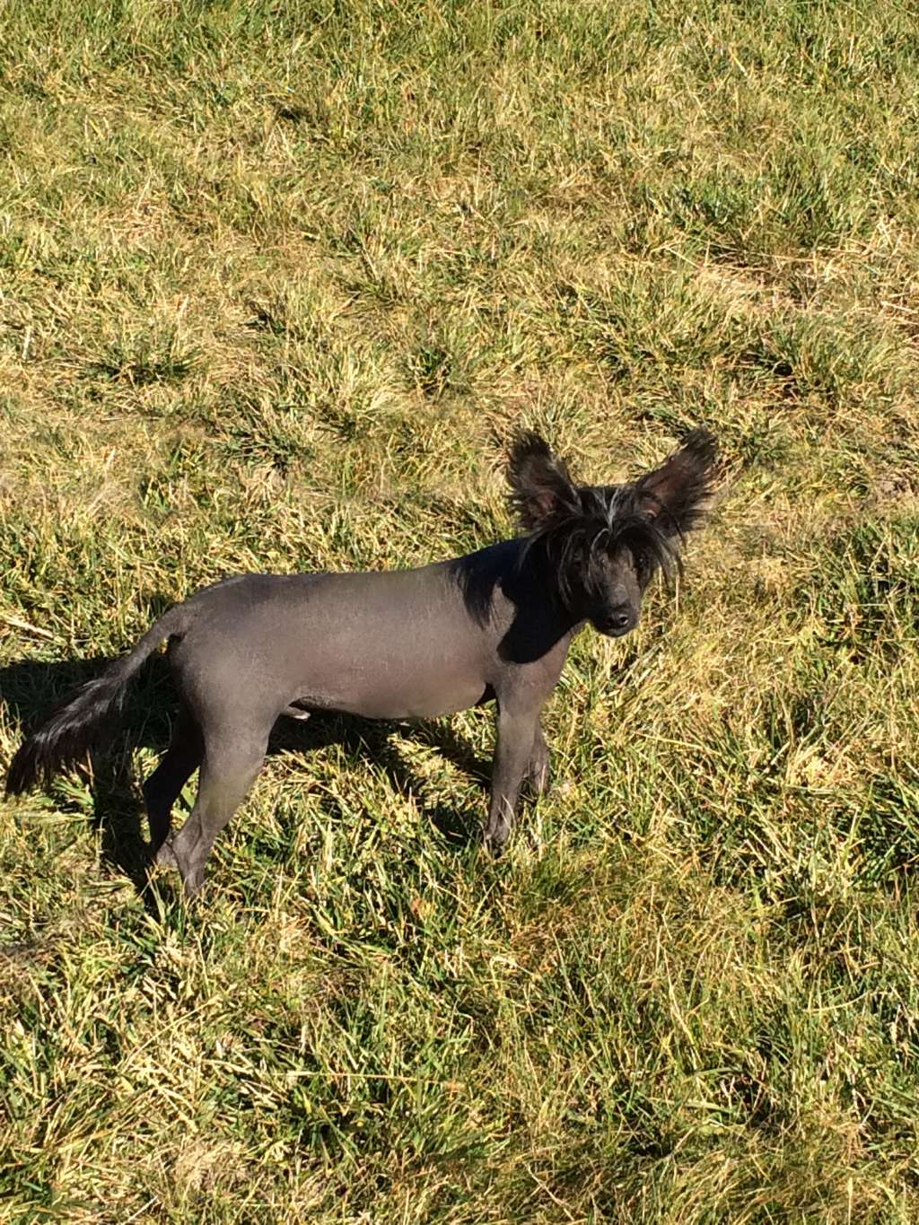 Country's Big Trouble At Outlaw