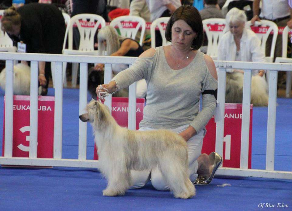 L'Etincelle Little Champs