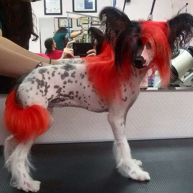 Naimuluna Line Izaura