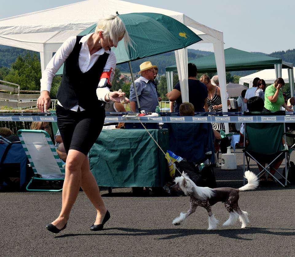 Lacoste Little Champs