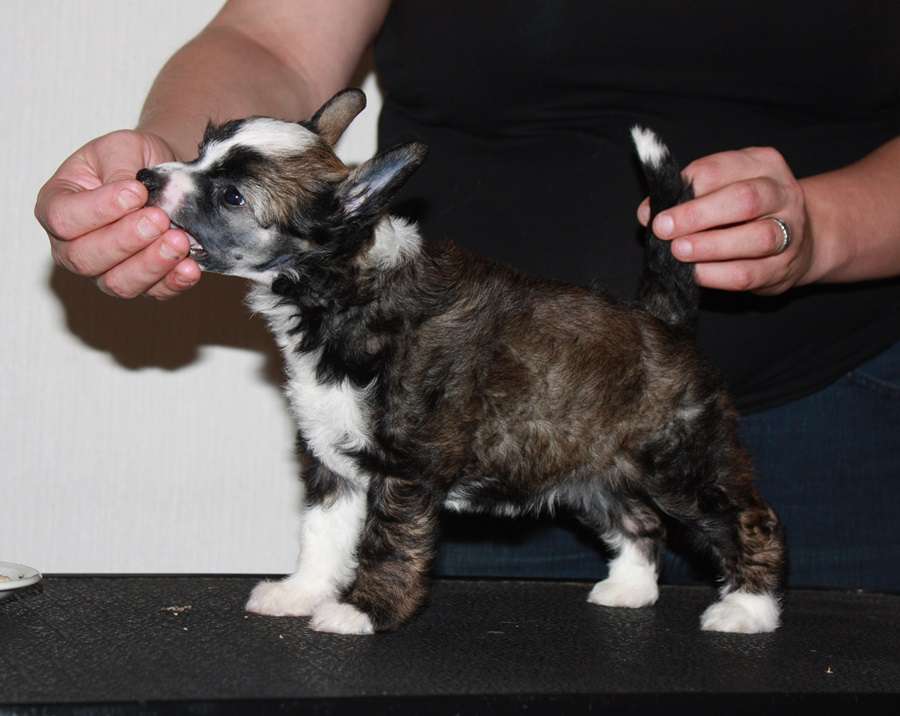 Viuvaun Alku Kaiken Kauniin