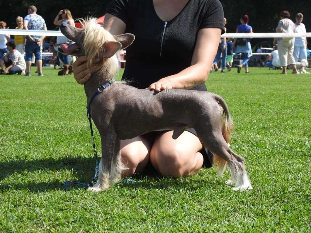 Licky Lips Cartoon Star