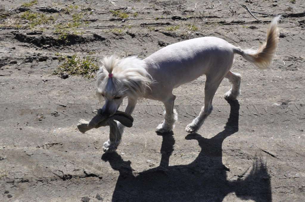 Solino's Kiss N' Tell