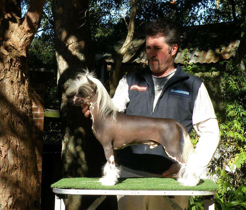 Karakush Archi Bald Prize