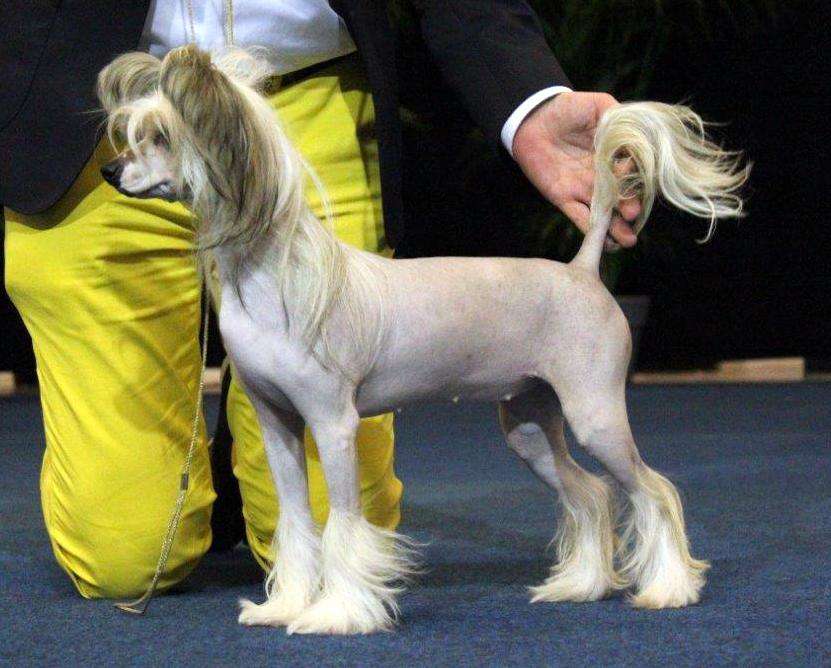 Leaving Las Vegas of Angel's Legacy