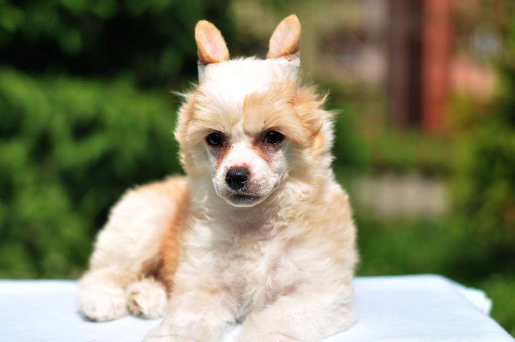 Alabaster Modern Family