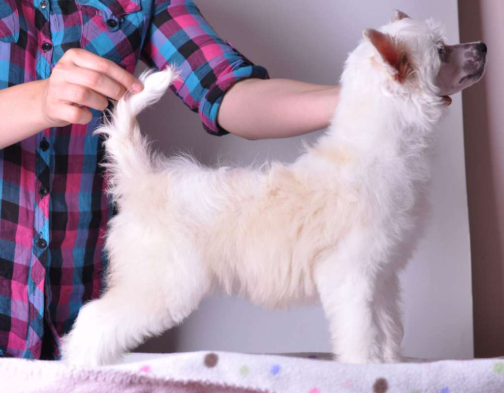 Aurora Modern family