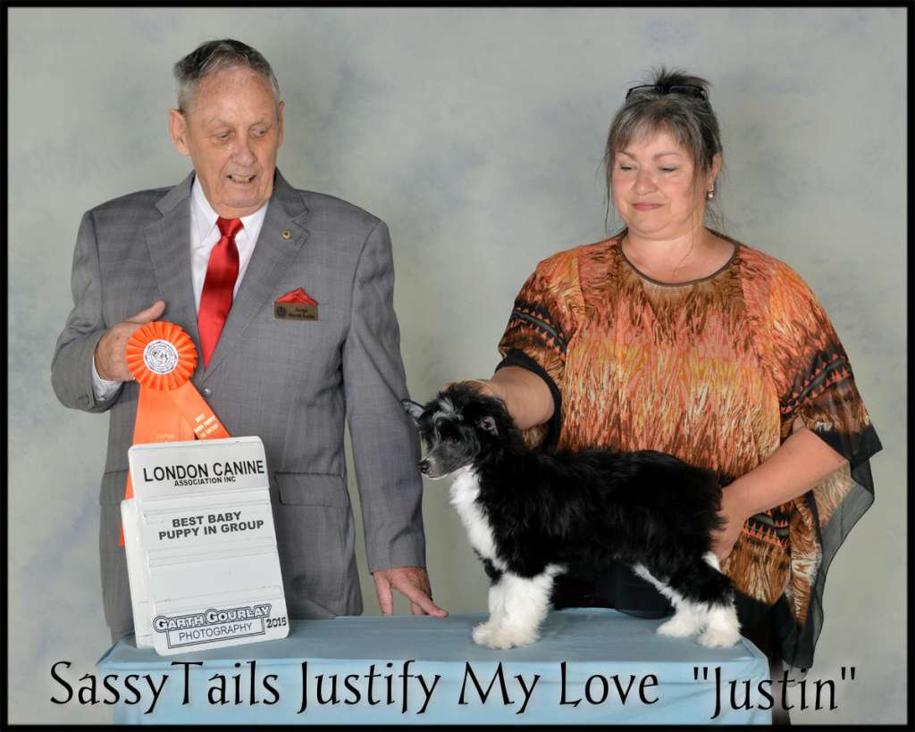 SassyTails Justify My Love