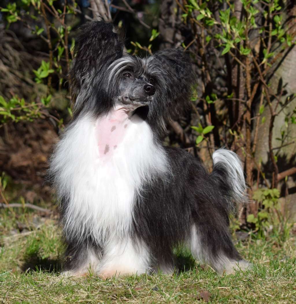 Happy Dancing Always Beauty