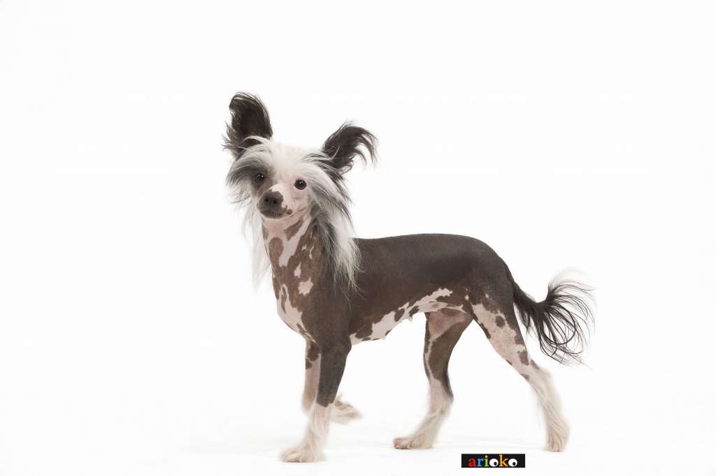 Eftane De La Vidatosca