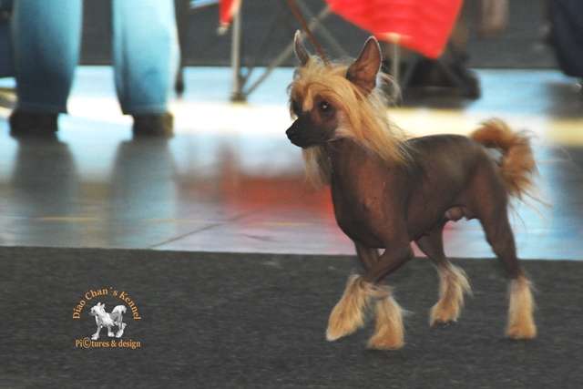 Elena Lunabalu aka "Nana"