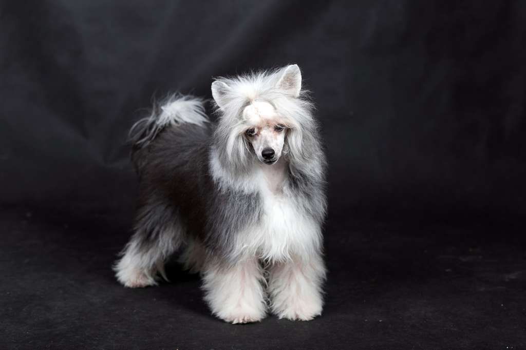 Solo Para Mi Iz Ordena Ekate-Riny