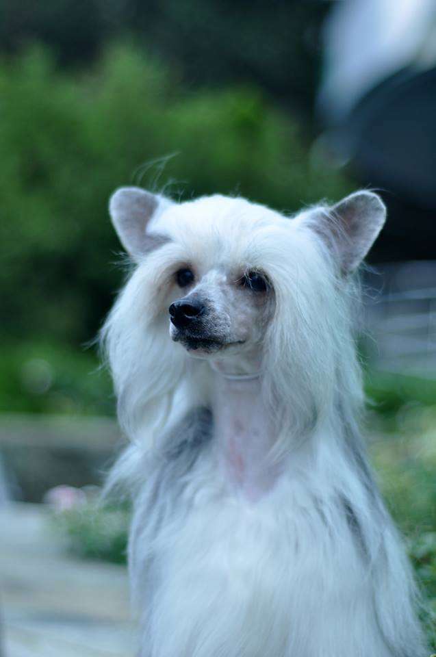 Celebrity Queen Iz Ordena Ekate-Riny