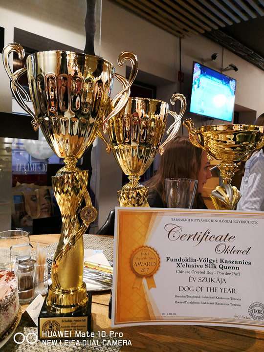 Fundoklia-völgyi Kaszanics X'clusive Silk Queen