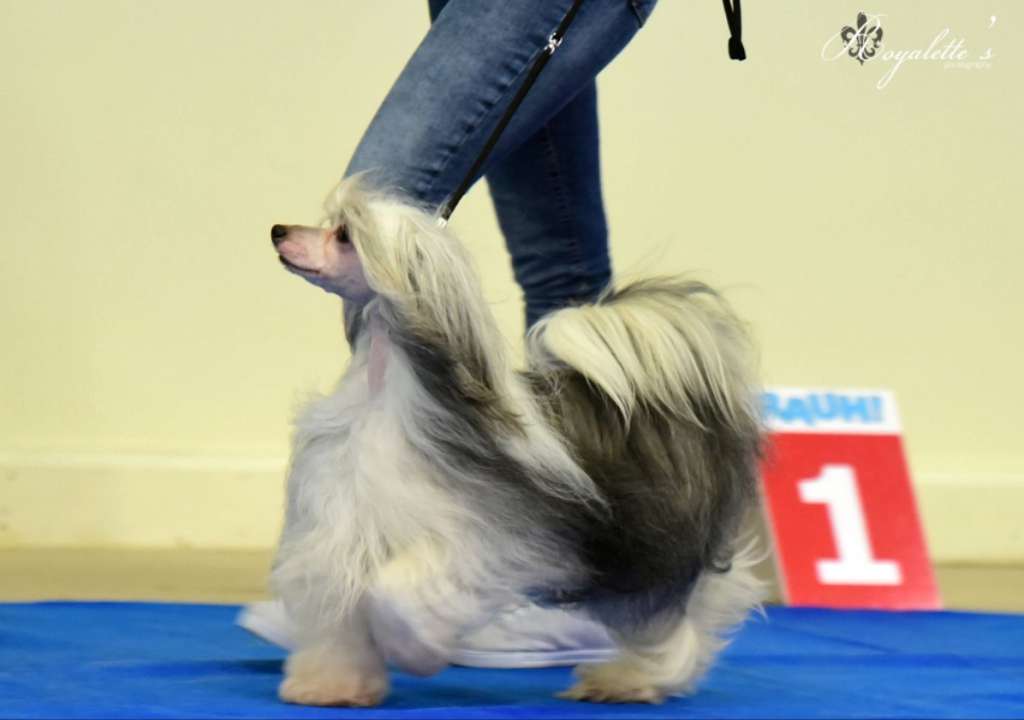 Namilon Black Diamond