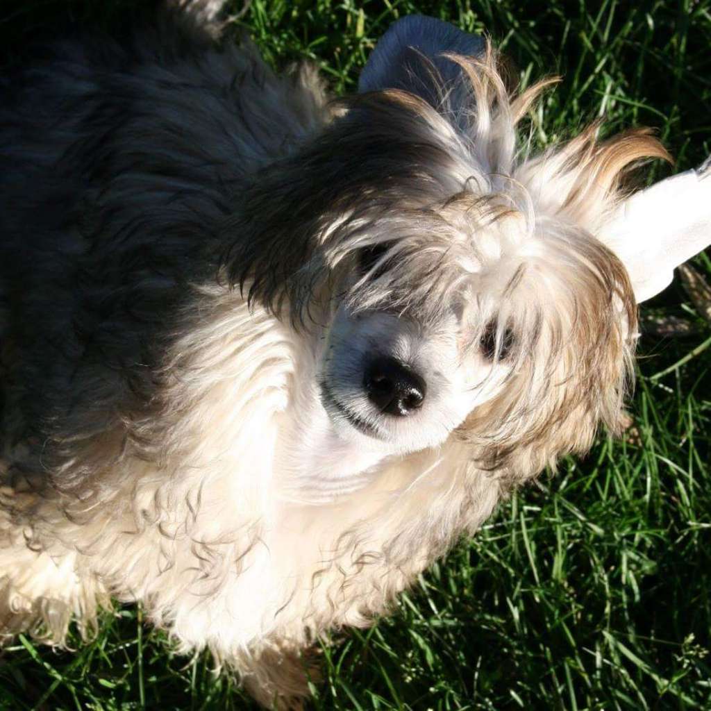 Oblivion BioShock Infinite