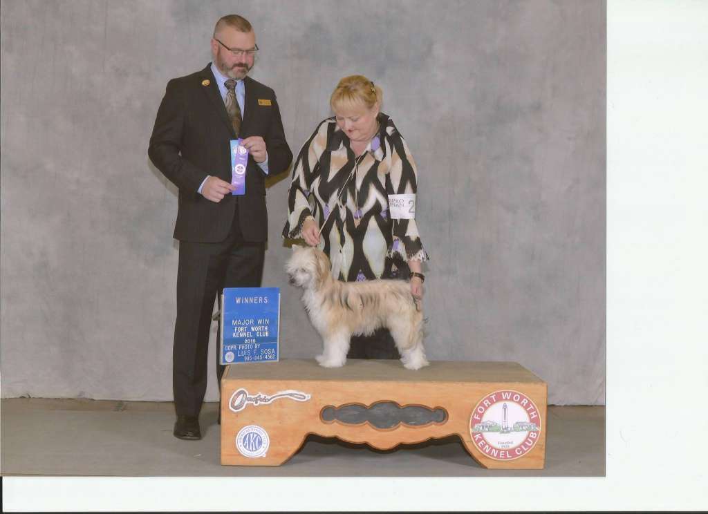 Ace's Ice Cream Social At Silhouette