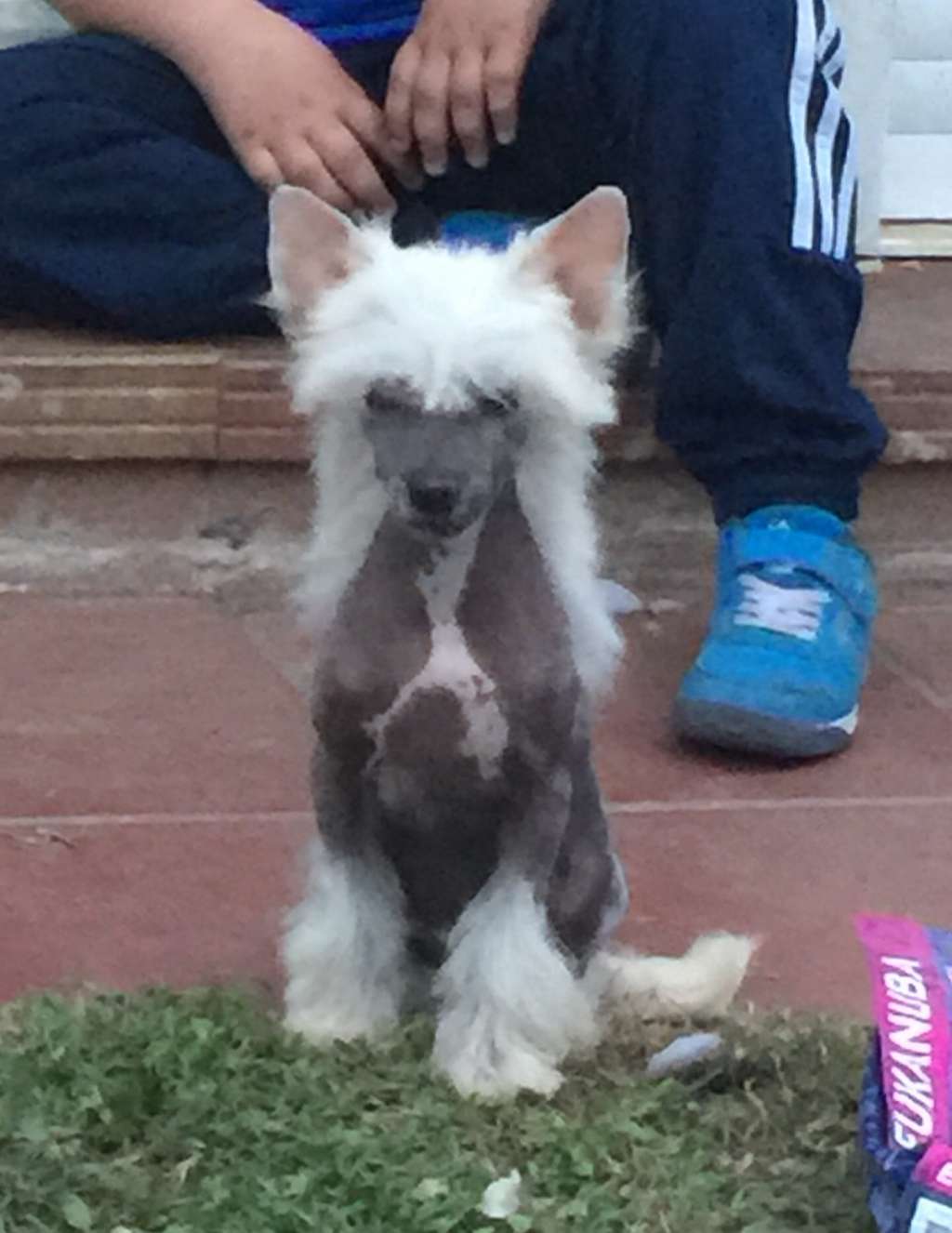 D'Rapakan Madamme Regina