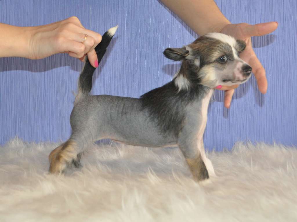 Nicole My beautiful Love