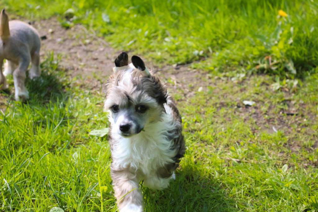 Luniks Stail  Versace