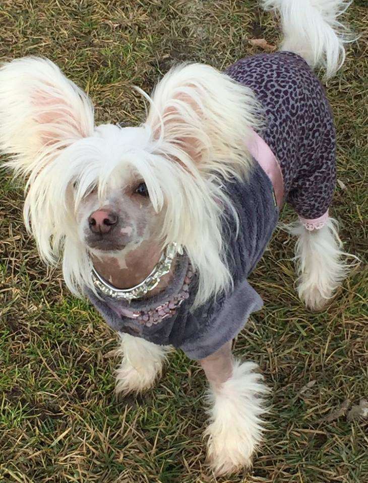 Neytiri Navi Gattaca