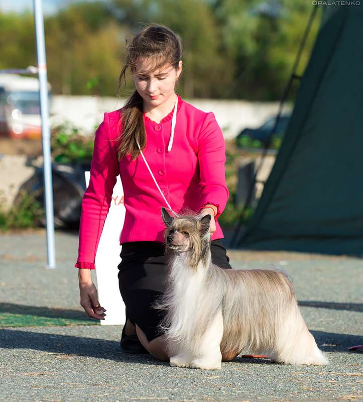 My Vanity Fair Kalipso (puff)