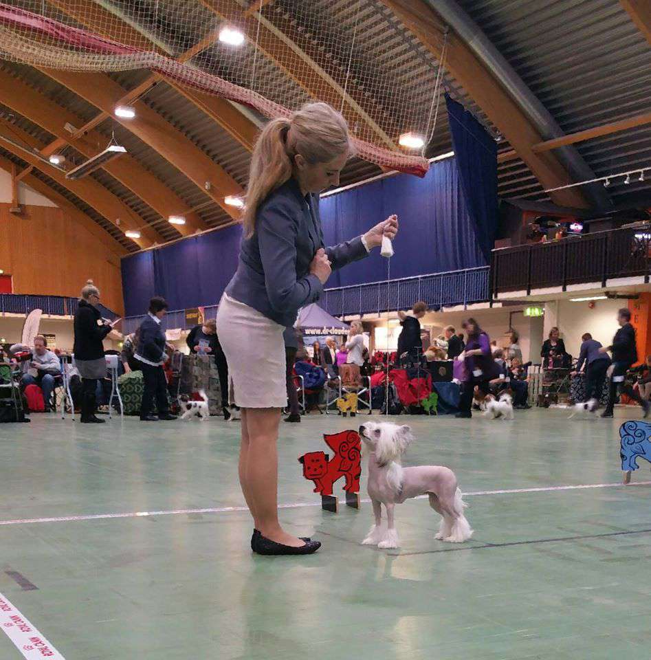 Amor Bella's Break The Rules