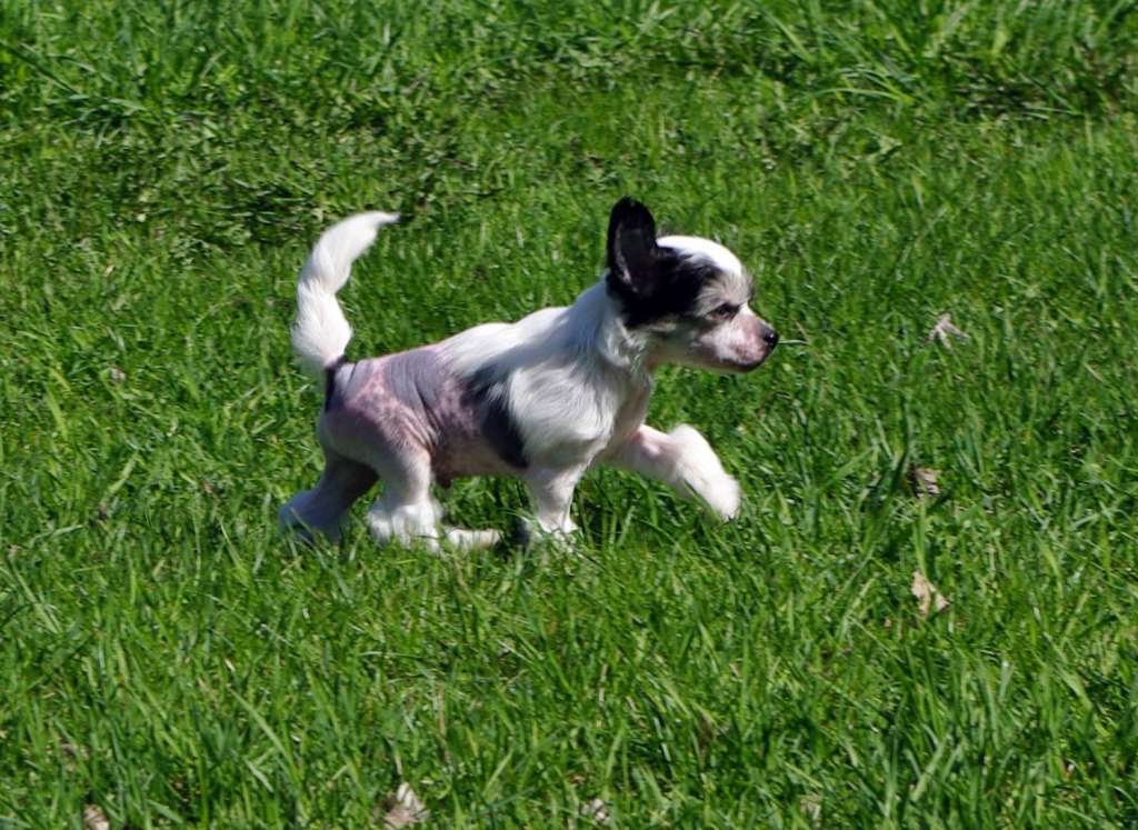 Futureline Felicie NIKE