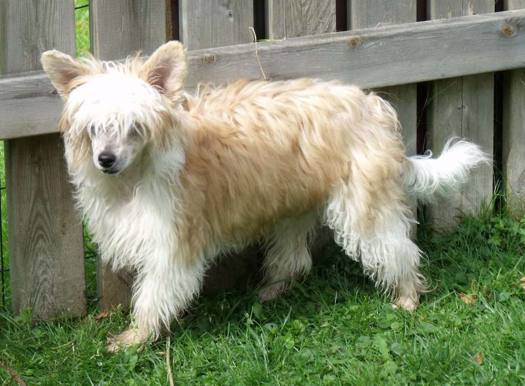 Qigous Sixth Most Glorious Moment