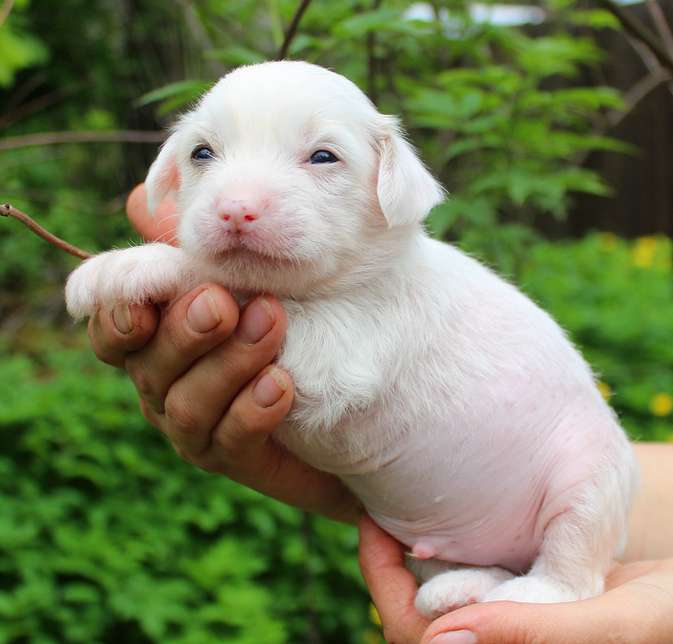 Angel O' Check D.......