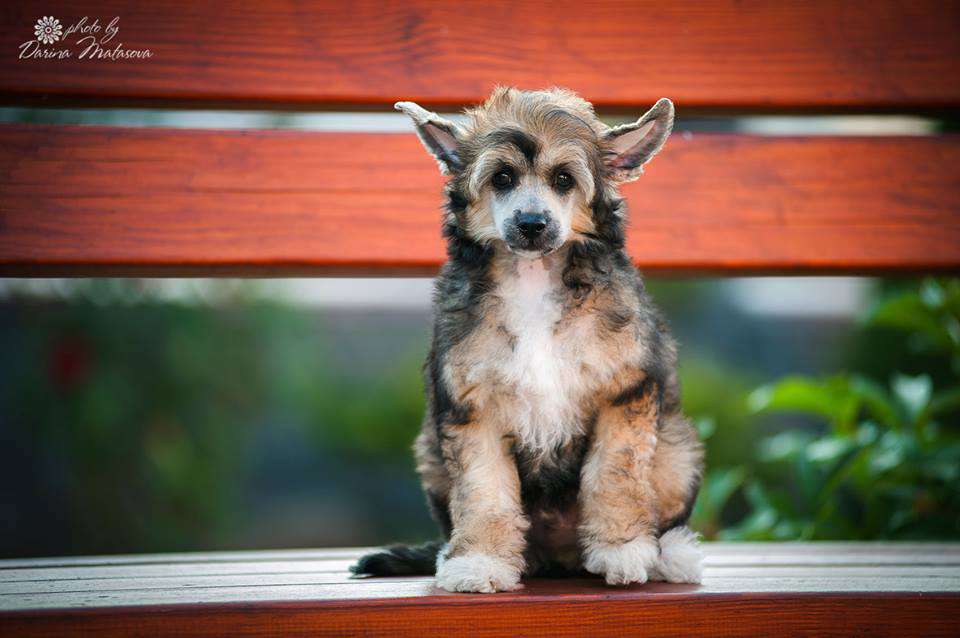 AkDeniz Rhythm-n-Blues