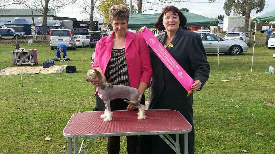 Chinois in the name ov luv