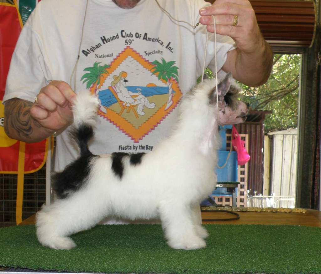 Karakush Clothes Maketh Th Man