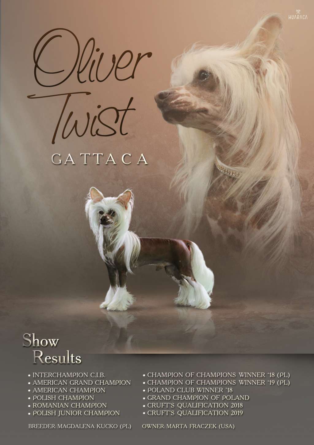 Oliver Twist Gattaca