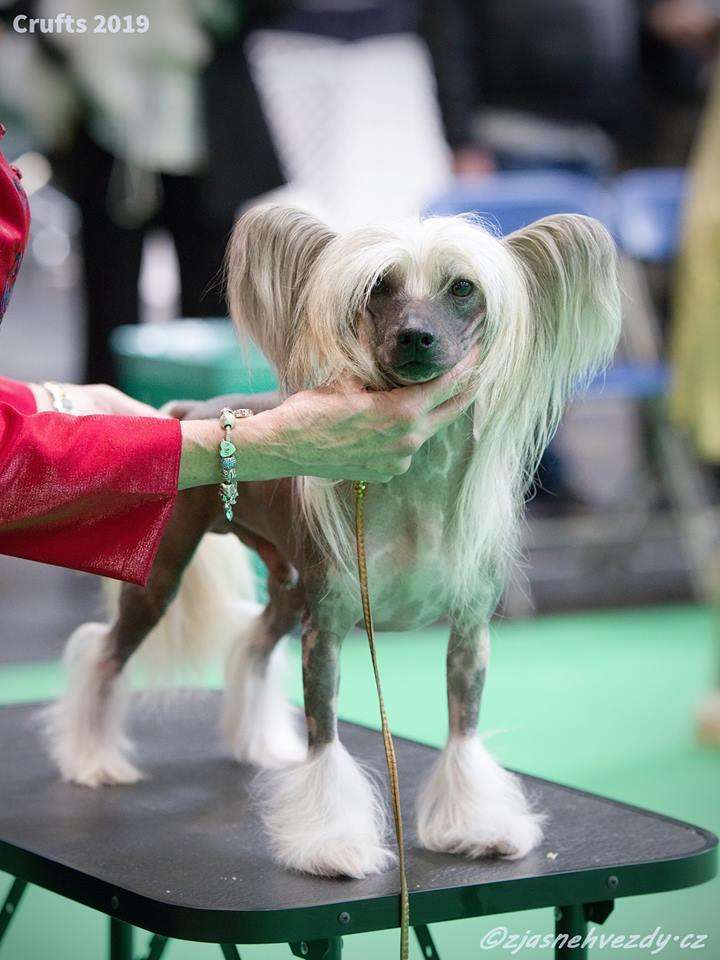 Eternal Life Heybett Zanjero JW.