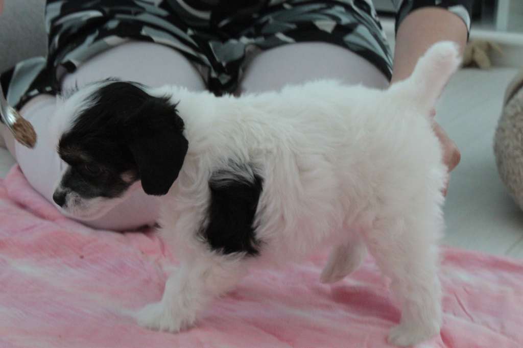 Allegranden Damn I Feel Good