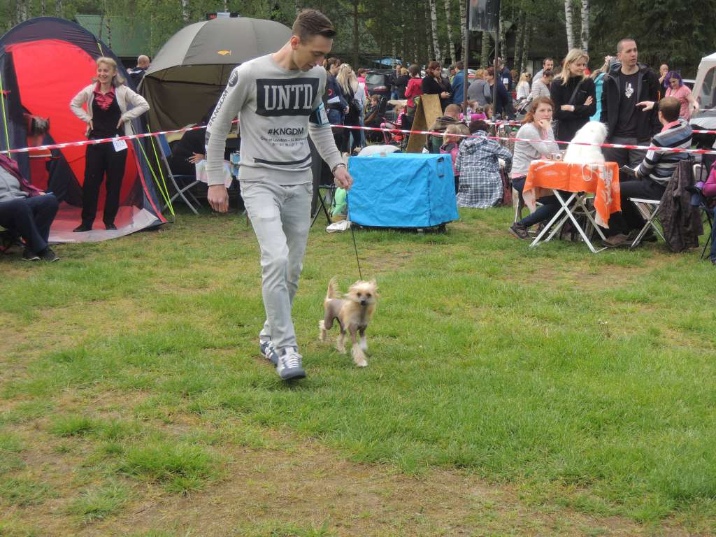 Fyllis Funny z Jaromerskeho panstvi