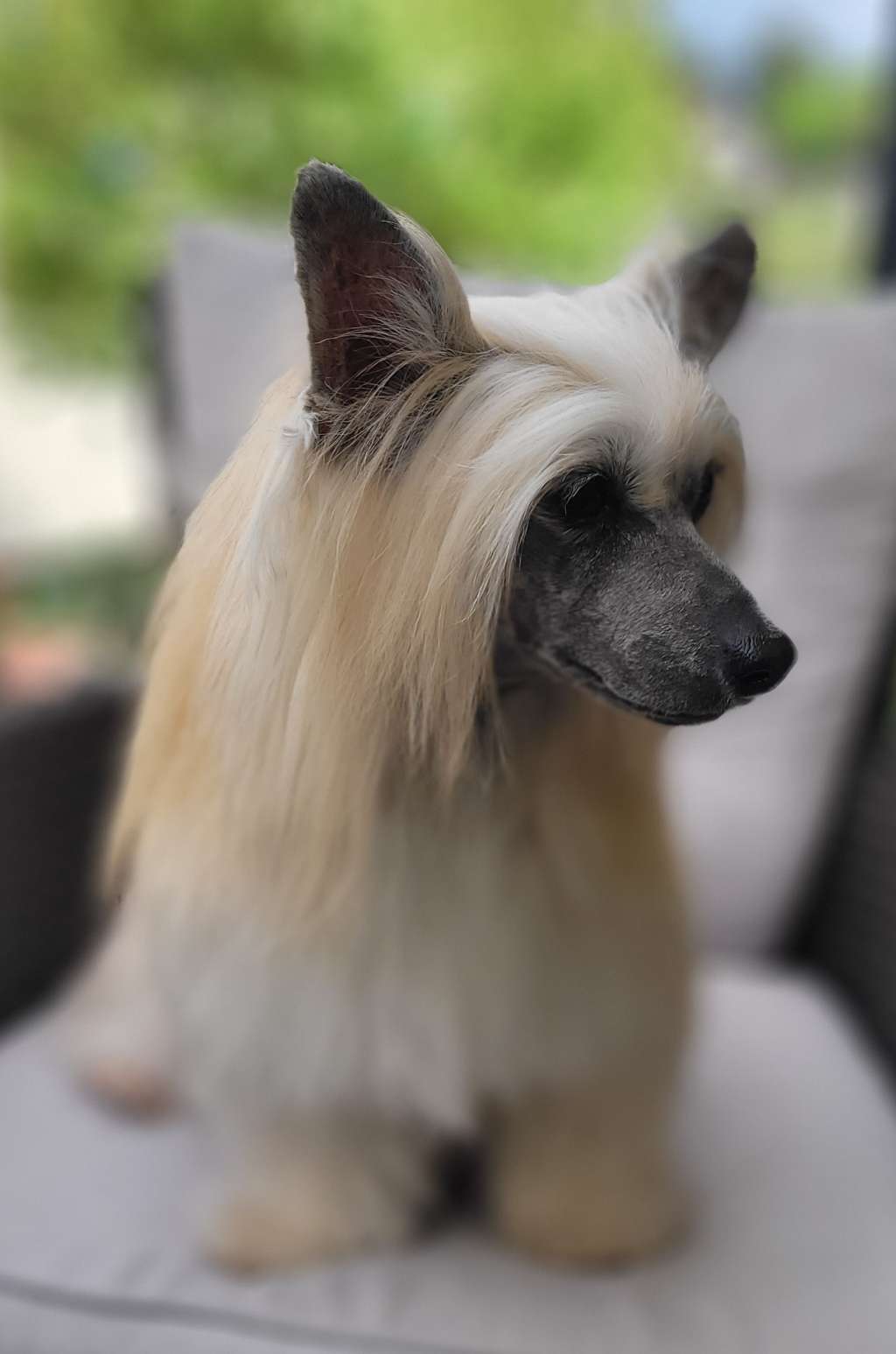 Fally Fantastic z Jaromerskeho panstvi