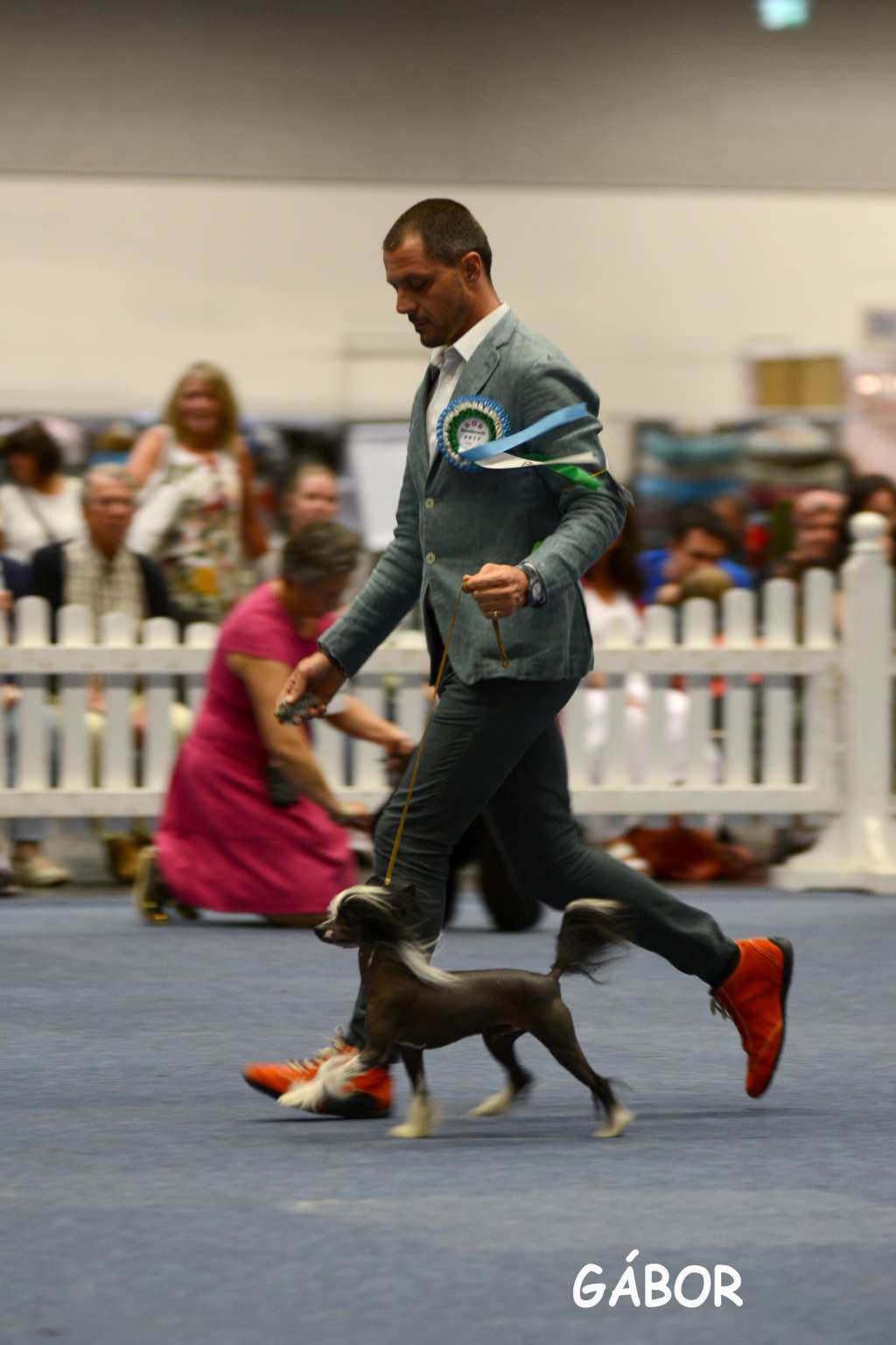 Multi Int. Ch. MyAngel Piccola Peste @ Dakotarose