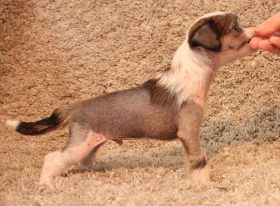 Lixima's Do Your Thing