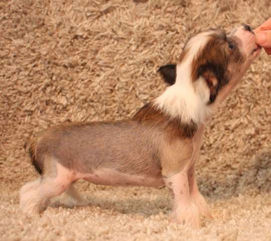 Lixima's Dirty And Flirty